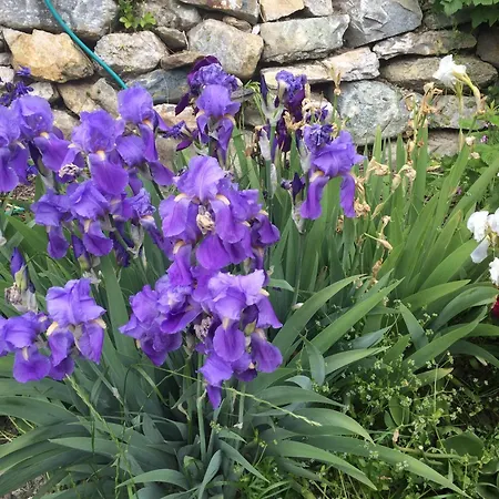 Grosse Im Engadinerhaus * Sent