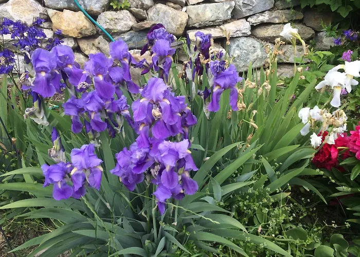 Grosse Im Engadinerhaus * Sent GR