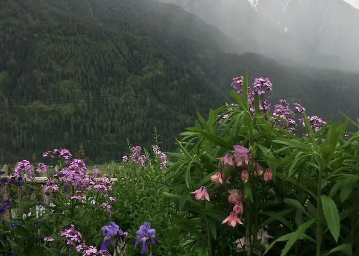 Apartment Grosse Im Engadinerhaus Sent GR